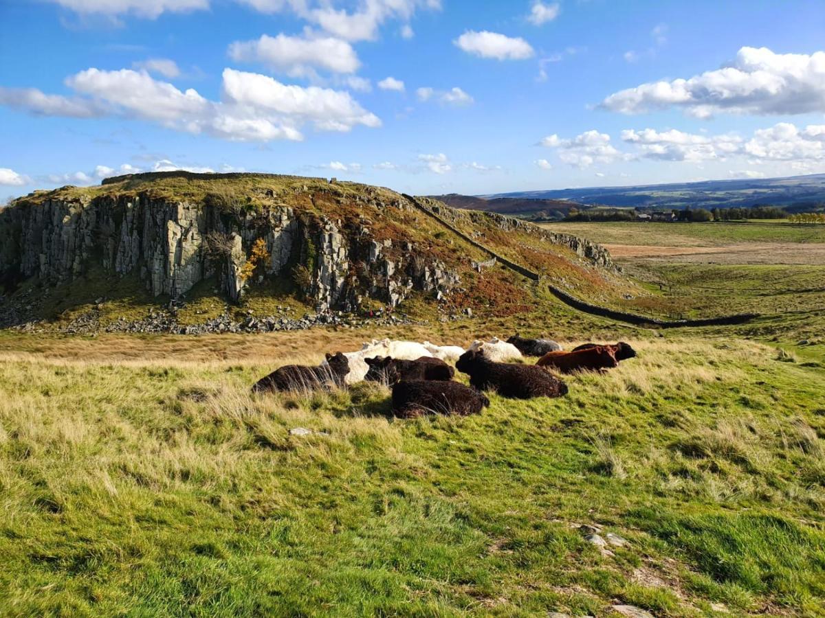Moonflower Lodge Newton on the Moor Dış mekan fotoğraf